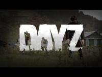DayZ видео инструкция по настройке сетки